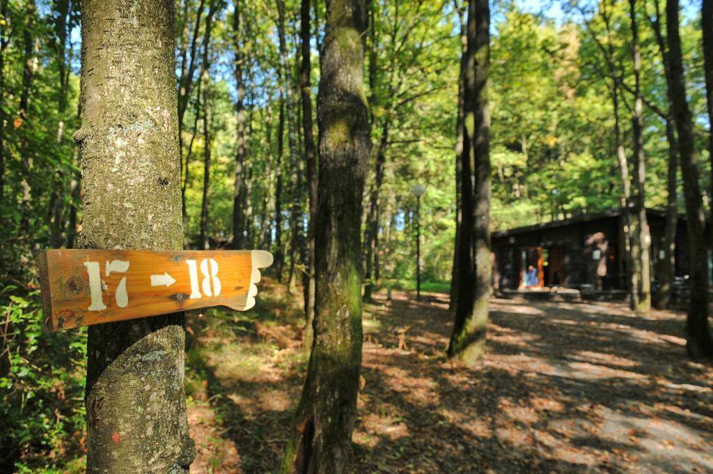 Village De Vacances D'Oignies Екстер'єр фото